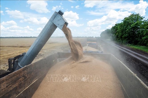 Nga gợi ý đầu ra cho ngũ cốc Ukraine